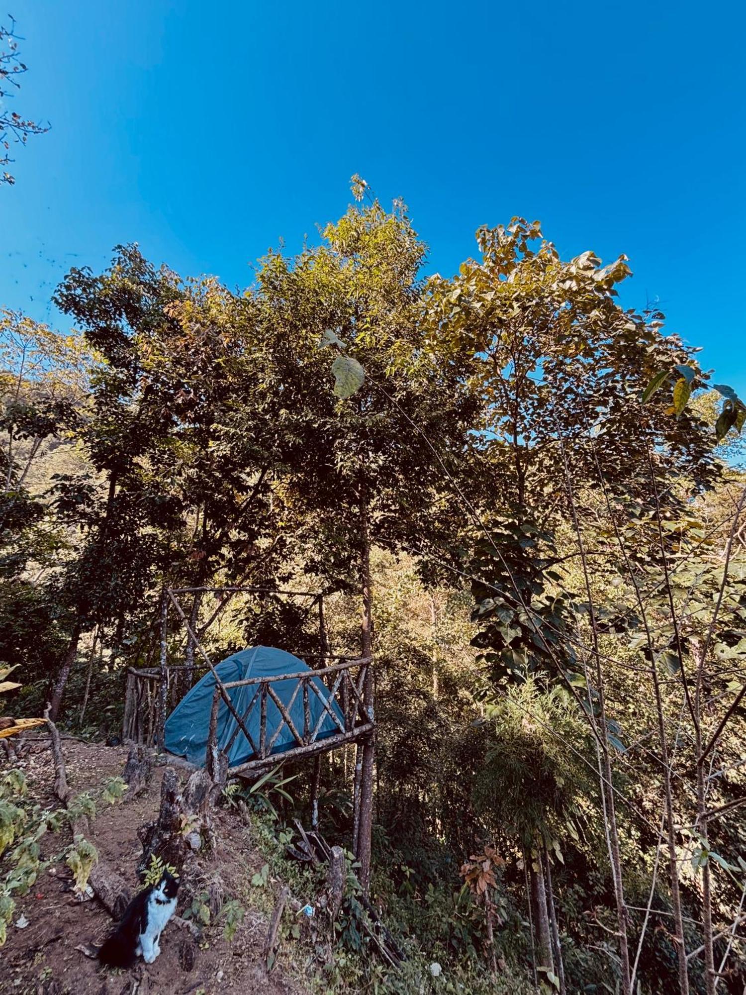 Hosanna Homestay Dárdžiling Exteriér fotografie