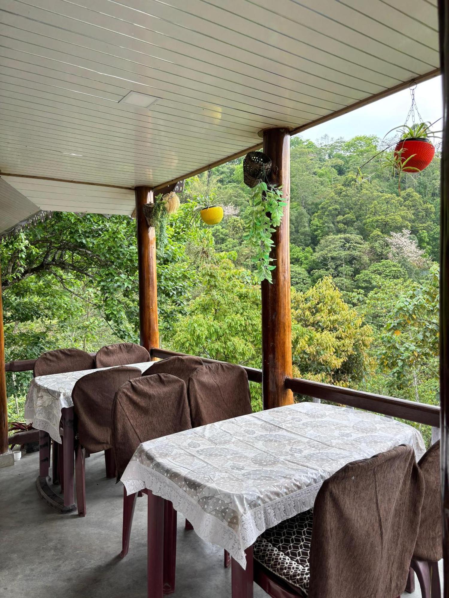 Hosanna Homestay Dárdžiling Exteriér fotografie